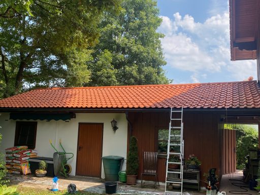 Garagendachreinigung in Bergen im Juli 25 Nachher
