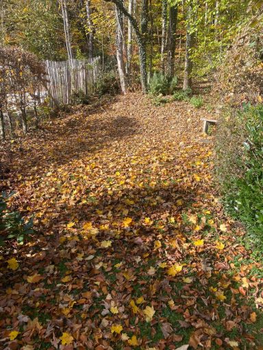 Herbstreinigung in Bergen im Oktober 25 Vorher