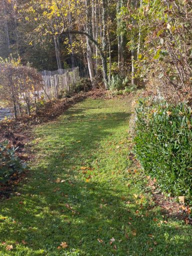 Herbstreinigung in Bergen im Oktober 25 Nachher