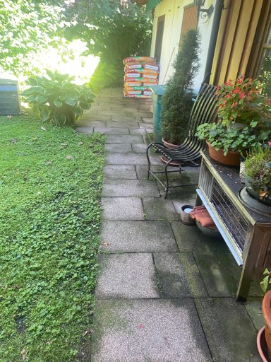 Pflasterreinigung in Bergen im Juni 25 Vorher